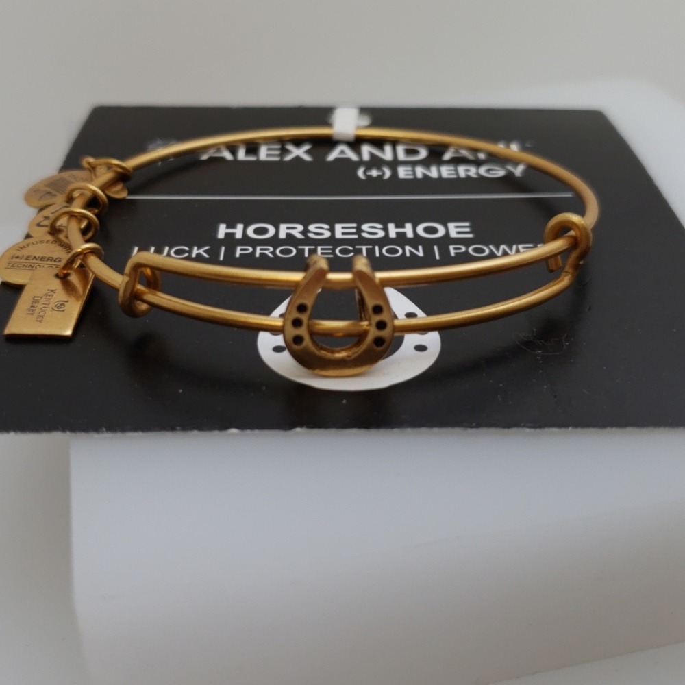 NWT Alex and Ani Horseshoe 2 Bangle RG